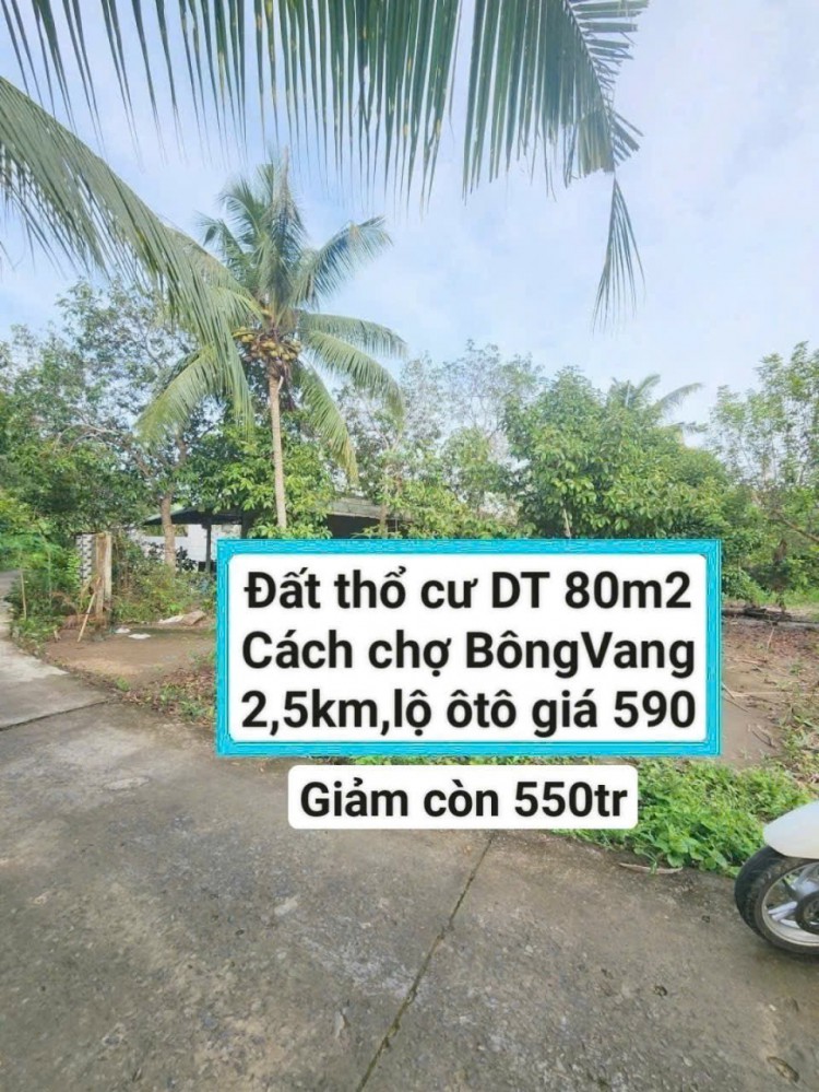NỀN THỔ CƯ TRỤC CHÍNH LỘ ÔTÔ, VEN SÔNG MÁT MẺ, CÁCH CHỢ BÔNG VANG 2,5KM