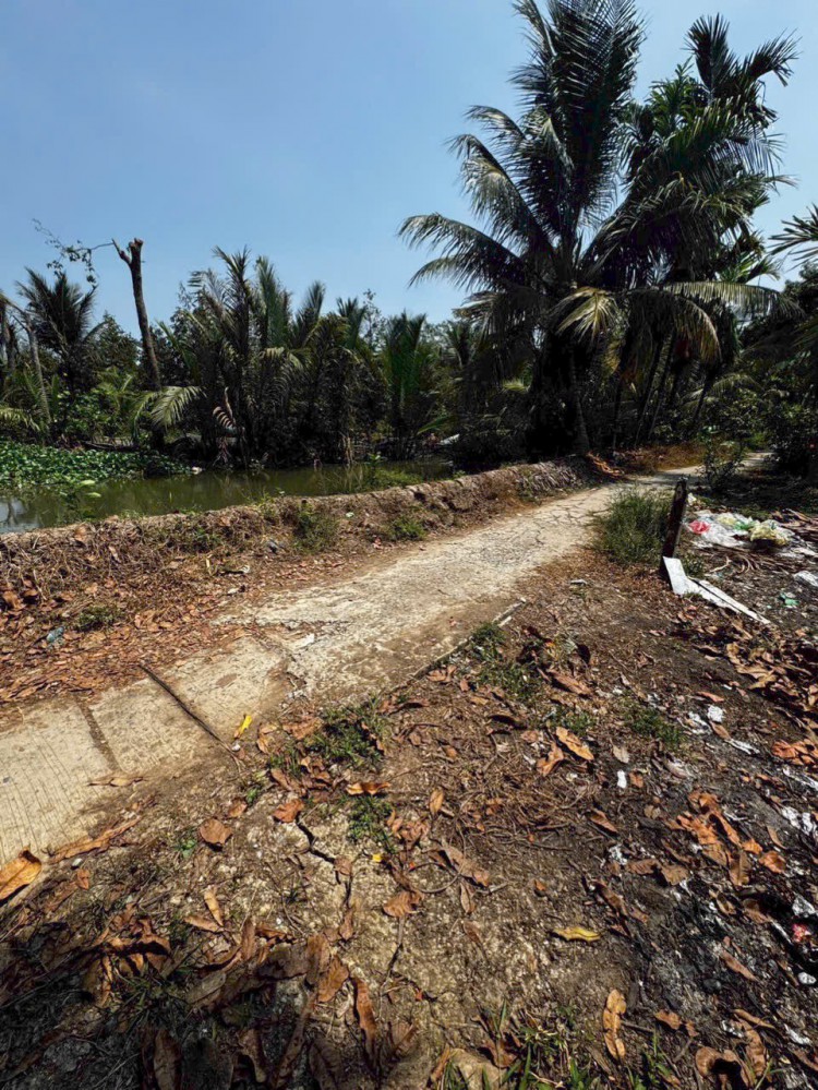 Bán Nền 160m2 Có Thổ Cư - Cách Chợ Cả Lang, Phong Điền Chỉ 350M