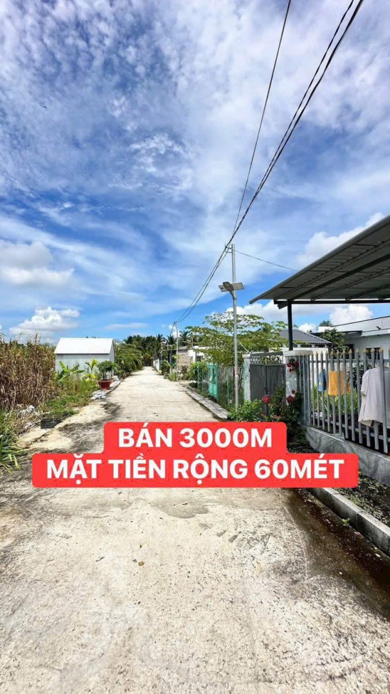 CHỦ GỞI BÁN 3000M CLN + LÚA ( MẶT TIỀN RỘNG 60 MÉT )