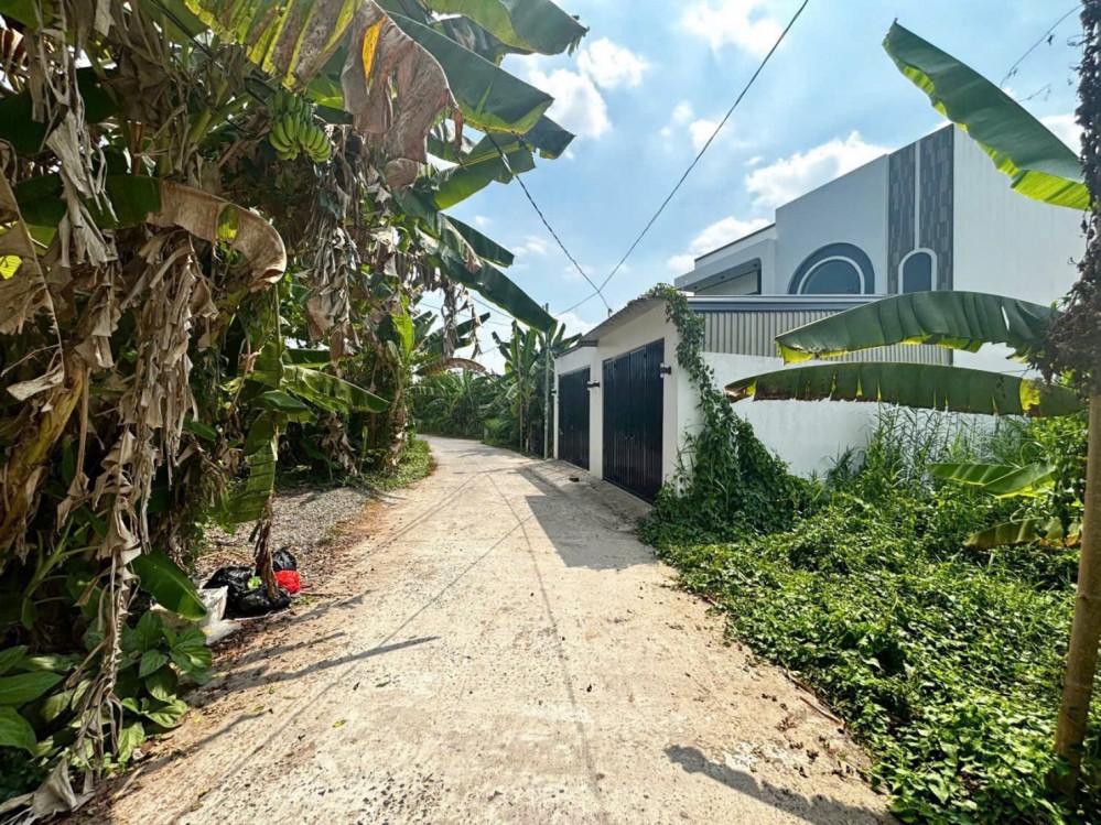 BÁN NỀN ĐƯỜNG VƯỜN MẬN ĐỐI DIỆN BV NHI ĐỒNG MỚI - RẠCH NGÃ BÁT P. LONG TUYỀN BÌNH THỦY