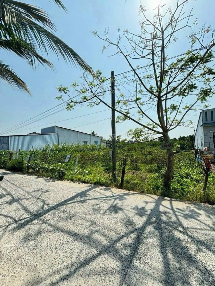 Bán Đất Vườn Làm Biệt Thự MiNi, Cầu Gạch Sung, Nhơn Nghĩa Phong Điền CT