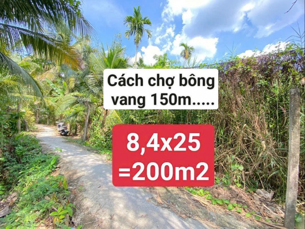 NỀN RỘNG 200M2 CÁCH CHỢ BÔNG VANG 150M ,CÁCH LỘ BÔNG VANG 90M