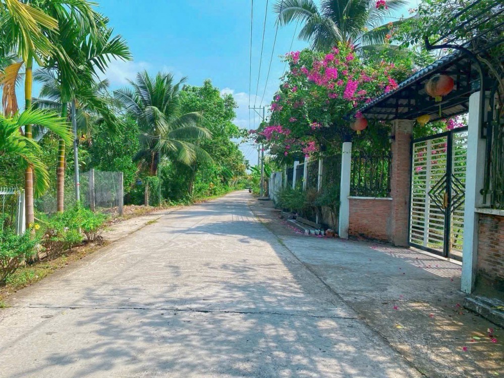 Bán Nền 242m2 Thổ Cư - Tuyến Kênh Xáng Xà No, Nhơn Ái, Đoạn Đối Diện Cầu So Đủa - Cách Chợ Vàm Xáng 1,9km.