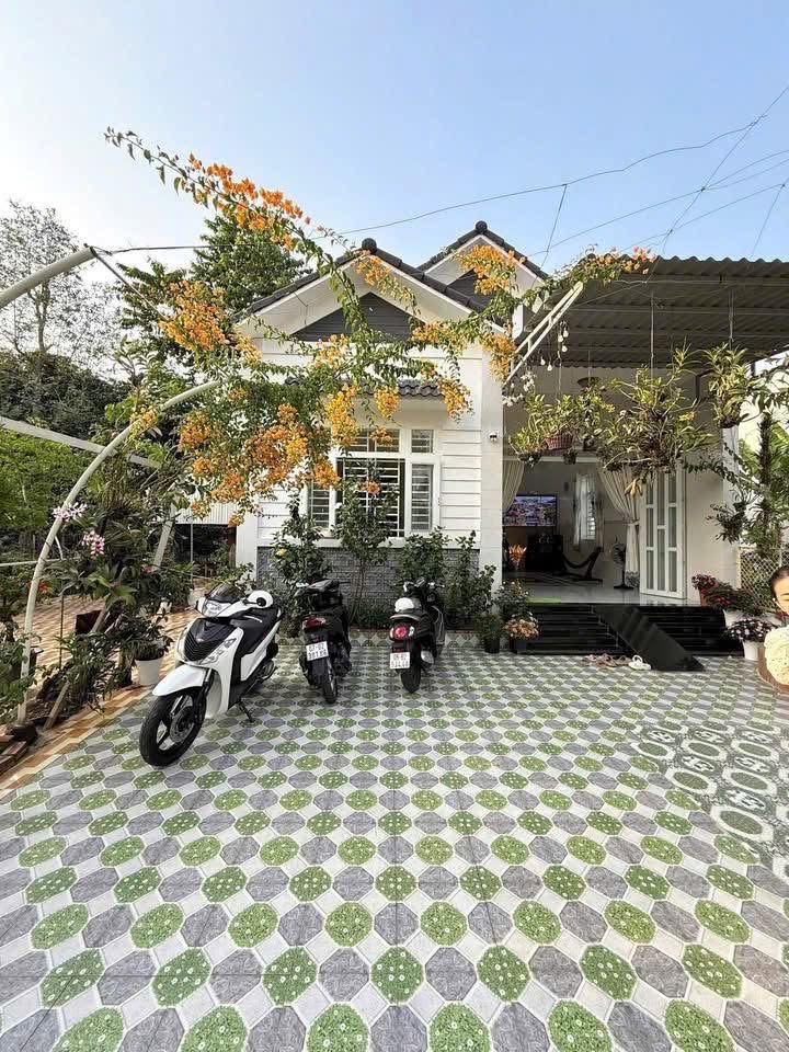 Nhà vườn rộng 379m2, mặt tiền Nguyễn Viết Xuân, Bình Thủy, TP Cần Thơ.