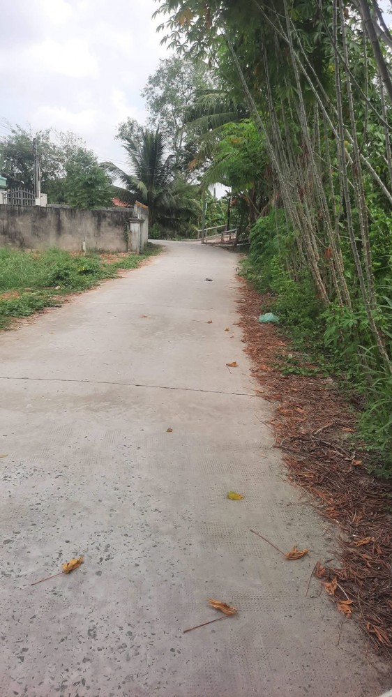 CẦN BÁN NỀN RỘNG 250M² LỘ XE HƠI GIÁ RẺ  - Vị trí QL61C Khu di tích Giàn Gừa, Nhơn Nghĩa, Phong Điền