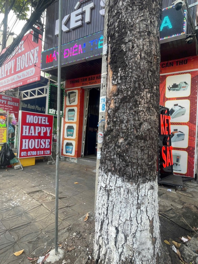 HÀNG HIẾM NỞ HẬU – MẶT TIỀN TRẦN HƯNG ĐẠO – KINH DOANH ĐỈNH