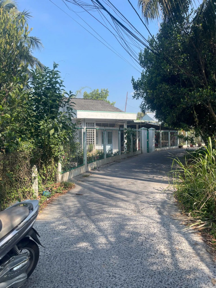 VƯỜN TRÁI CÂY GẦN MỸ KHÁNH – 1.200m² – GIÁ TỐT ĐẦU TƯ NGHỈ DƯỠNG