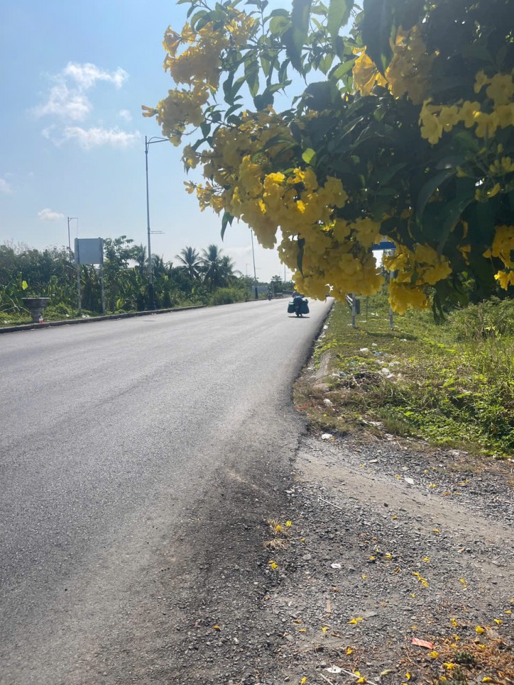 MT Nguyễn Văn Cừ Nối Dài – Ngang 17m Hiếm, Giá Chỉ 2,8 Tỷ!