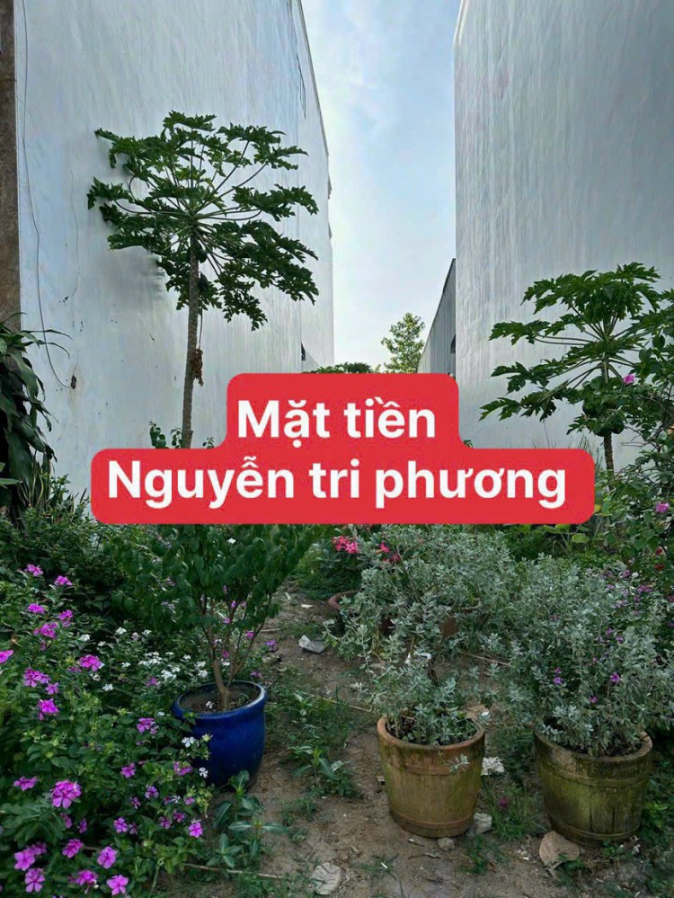 Bán đất mặt tiền đường Nguyễn Tri Phương, An Khánh, Ninh Kiều TP Cần Thơ
